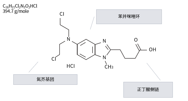 历史积淀铸就经典，全面认识原研苯